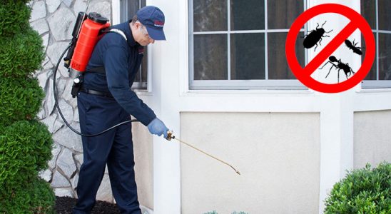 Nizip Kene İlaçlama böcek ilaçlama ve haşere kontrolü — ilaclama-tr.com